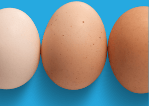 Benefícios dos Ovos